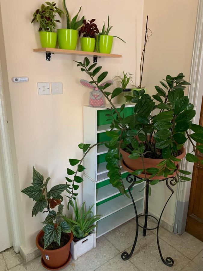 Mini Penthouse Lárnaka Kültér fotó